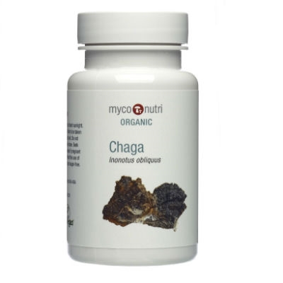 Styrk dit immunforsvar med Chaga